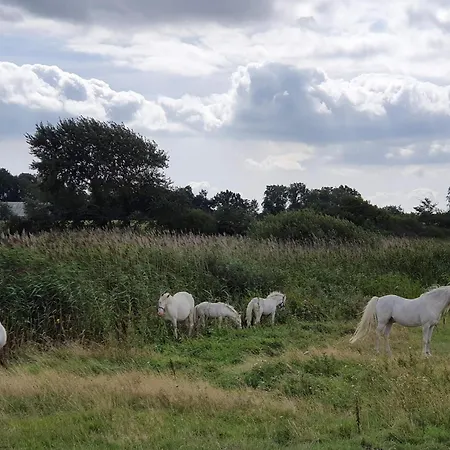 Сasa de vacaciones Modern Retreat With - By Traum *